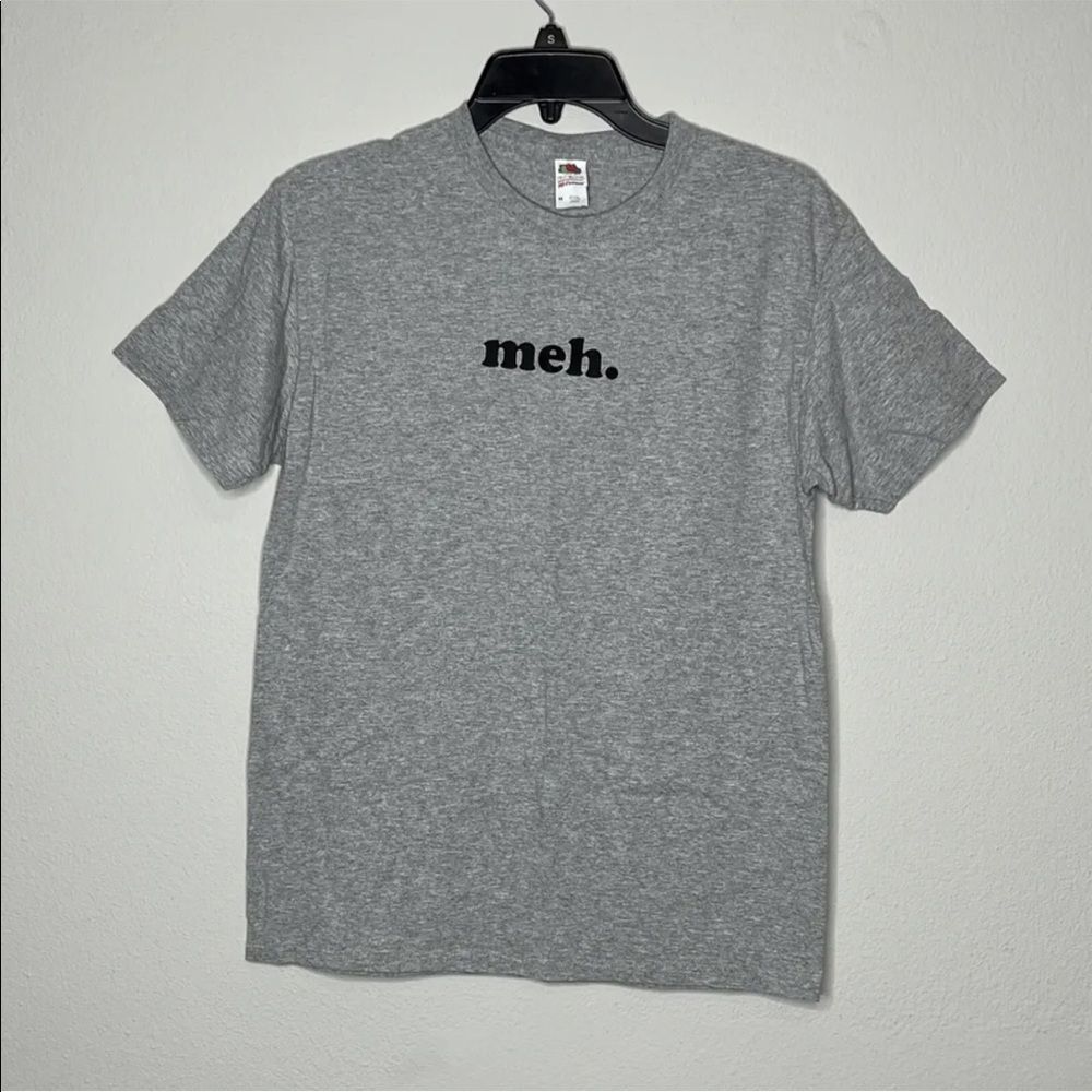 Fruit of the Loom Mens Gray Short Sleeve Graphic Print Meh Tshirt Size Large